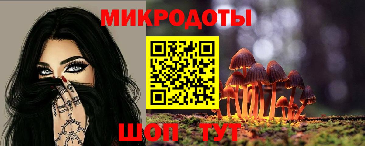 Псилоцибиновые грибы Cubensis  Вход с VPN  Муром 